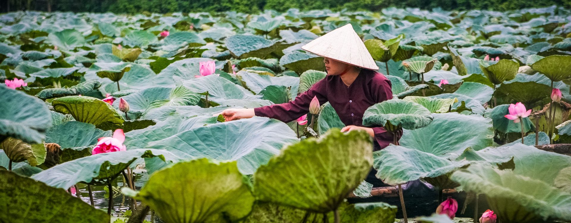 The best itineraries 7 days in Southeast Asia