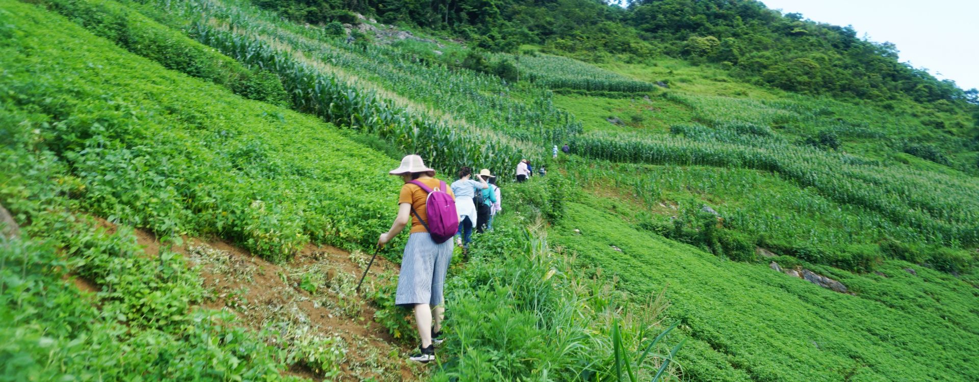 The best trekking tours in Southeast Asia