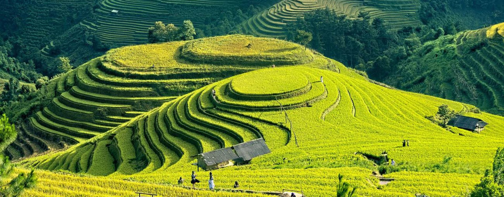 North Vietnam tour