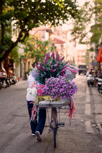 North Vietnam itinerary